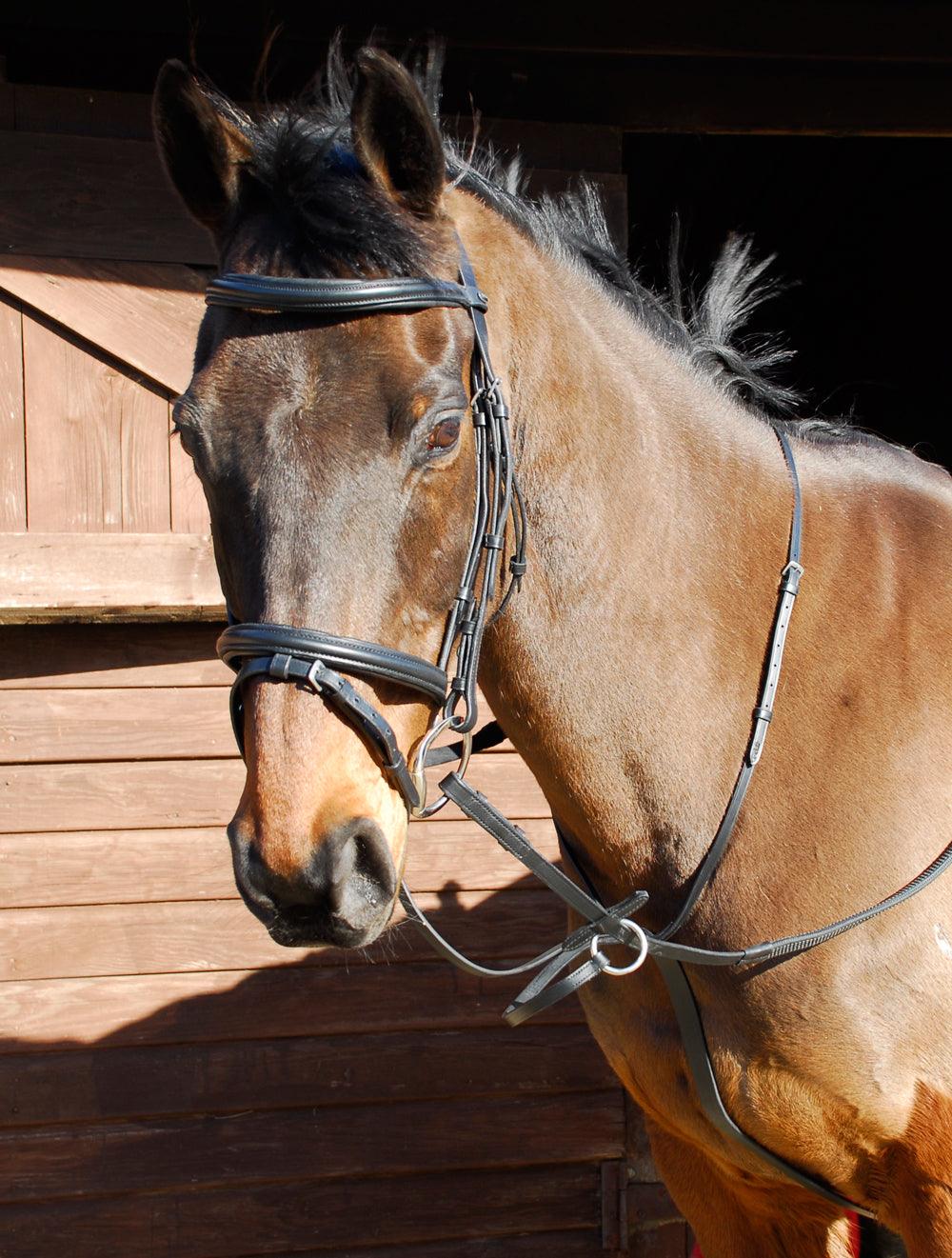 Windsor Martingale a Anneaux - SHOP HORSE